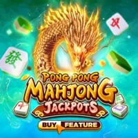 Hình ảnh tượng trưng cho người dùng kiểm soát cài đặt cookie của họ trên New88 Casino